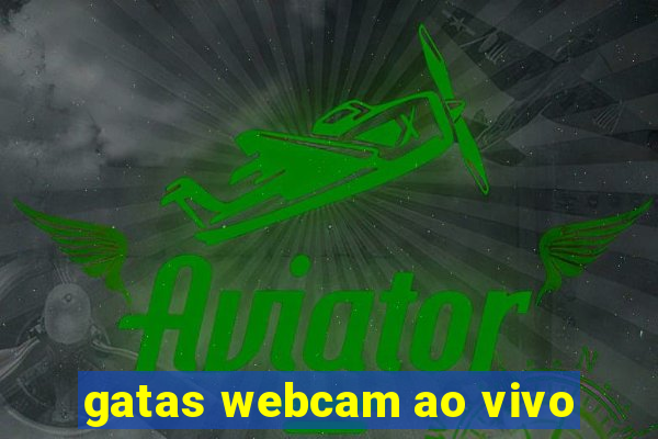 gatas webcam ao vivo